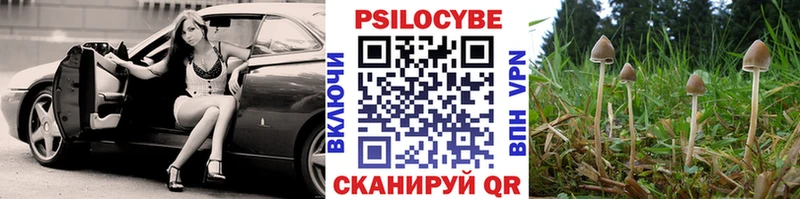 Галлюциногенные грибы мицелий  Купить закладки  Сусуман 
