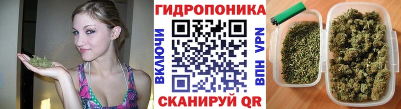 Бошки Шишки Amnesia Сусуман